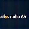 Nordlys Radio AS logo footer